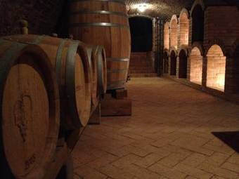 Hostal Hus� Pl�cek