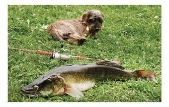 Apartment Cerna V Posumavi - 05