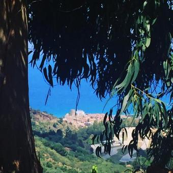 Agroturismo Agriturismo Fattoria Di Grenne