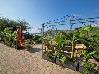 Locazione Turistica Mimosa