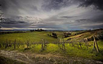 Villa Fattoria La Collina