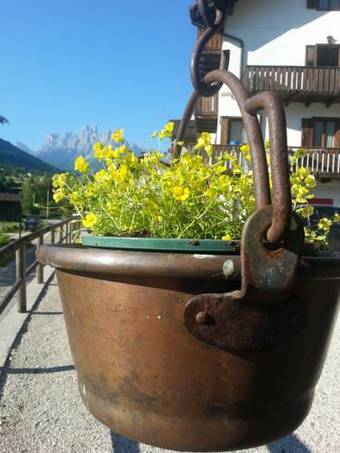 Apartamento Casa Simion