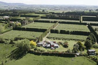 Agroturismo Capeview Cottage