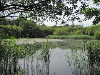 Bryn Llys For The Zip Wire