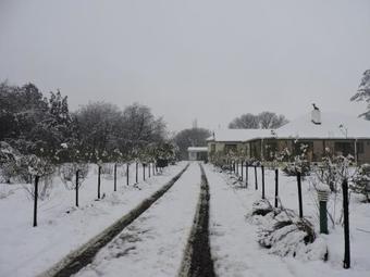 Bed & Breakfast Sani Gables