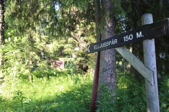 Lodge Backs Semesterby