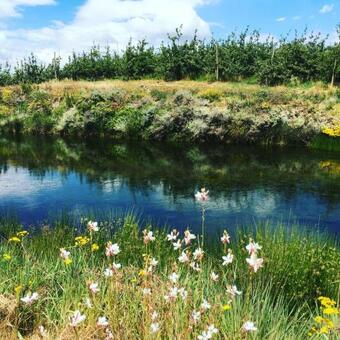 Agroturismo Cheverells Farm