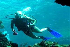 Hotel Abaco Beach Resort