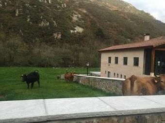 Hotel La Casona De Rey