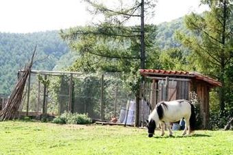 Hotel Ecol�gico Kaa�o Etxea