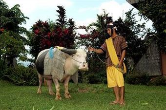 Hotel Toraja Heritage