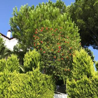 Apartamento Villa Xanthippi