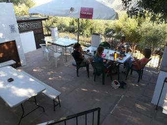 Olive Branch Apartment