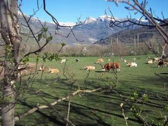 Bonito Apartamento Para 2 Personas