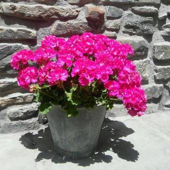 Albergue Armaia Artepea