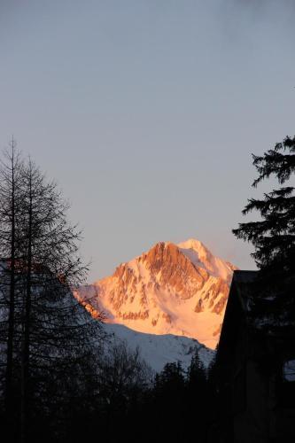 Apartamentos Le Belv�d�re