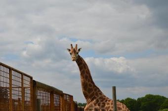 Les Lodges Du Reynou