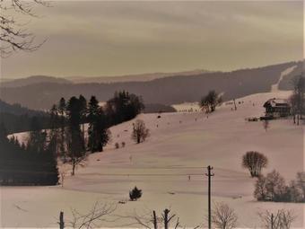 Hotel Feriengasthof L�wen