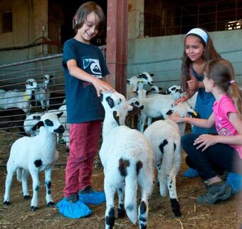 Apartamentos Casa Marquet