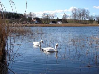 Apartamento Seedorf-typ-2