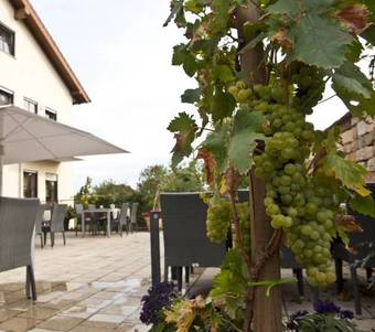 Weingut Sandwiese Winzerhotel