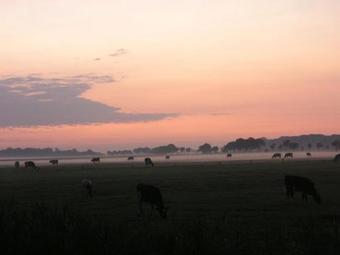 Hostal Pension Haus Hermann
