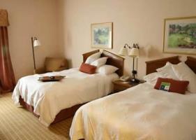 Hotel Hampton Inn Dallas-irving-las Colinas Tx