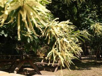 Hostal A F�brica Da Luz