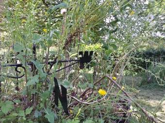 Bed & Breakfast 13 Bees