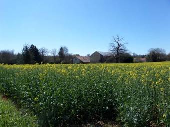 Bed & Breakfast La Roseraie