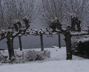 Apartamentos La Villa Du Port