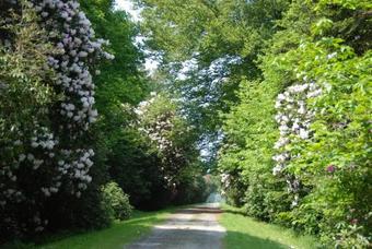 Holiday Home Gites Manoir Du Ranleon - 3