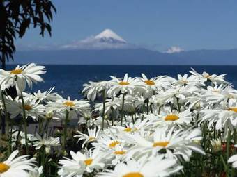 Hotel Boutique Serenade