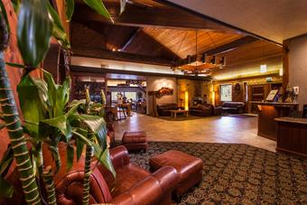 Hotel Best Western Tree House Motor Inn