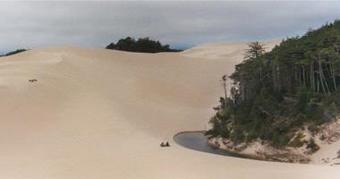 Hotel Best Western Holiday Motel