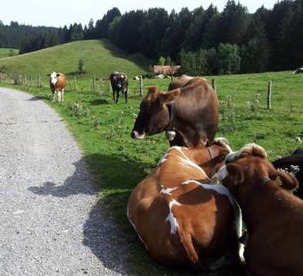 Apartamento Ferienwohnung Kr�mer