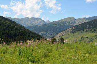 Peretol Apartments 1950m