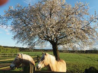 Bed & Breakfast De Weide Poort