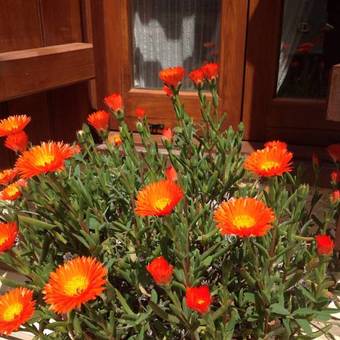 Agroturismo Vavla Rustic Retreat