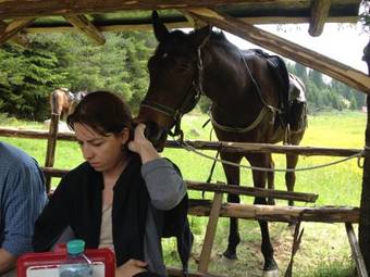 Family Hotel Arkan Han