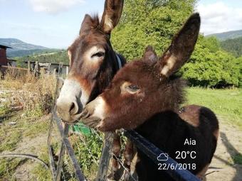 Agroturismo Pagoederraga