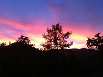 Agroturismo Agriturismo Il Cucciolo