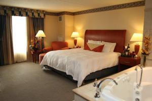 Hotel Hilton Garden Inn Chicago Ohare Airport