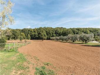 Holiday Home Manziana 89 With Outdoor Swimmingpool