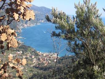 Bed & Breakfast Green Quiet Affittacamere