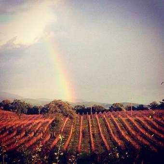 Agroturismo Agriturismo Diaccialone