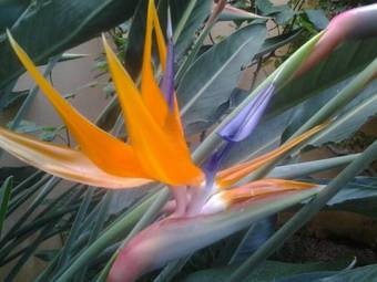 Bed And Breakfast Il Sole