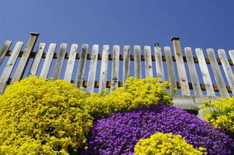 Apartamento Appartements Peilerhof