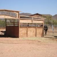 Hotel Cibola Vista Resort And Spa