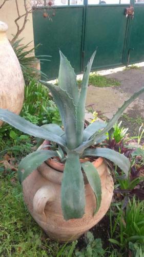 Apartamento La Stalla